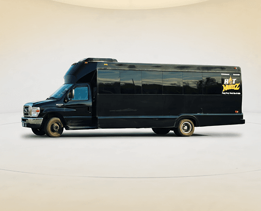 20 Seater Party Bus