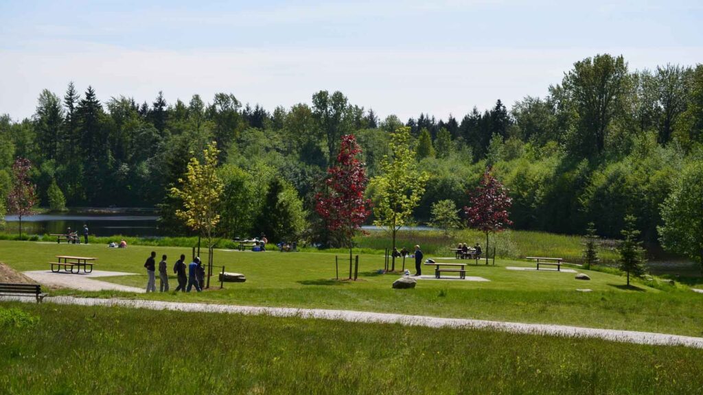 Park landscape with trees – HotWheelz travel destination